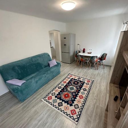 Nema S Apartment 布拉索夫 外观 照片