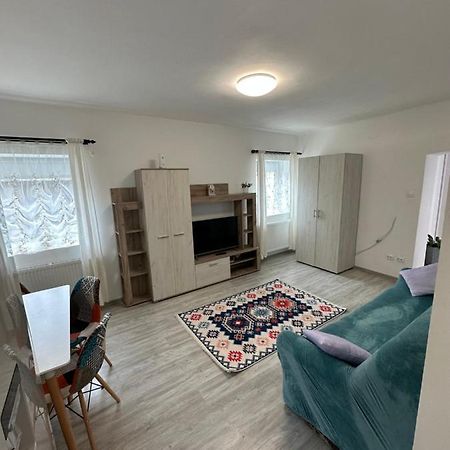 Nema S Apartment 布拉索夫 外观 照片