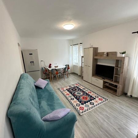 Nema S Apartment 布拉索夫 外观 照片
