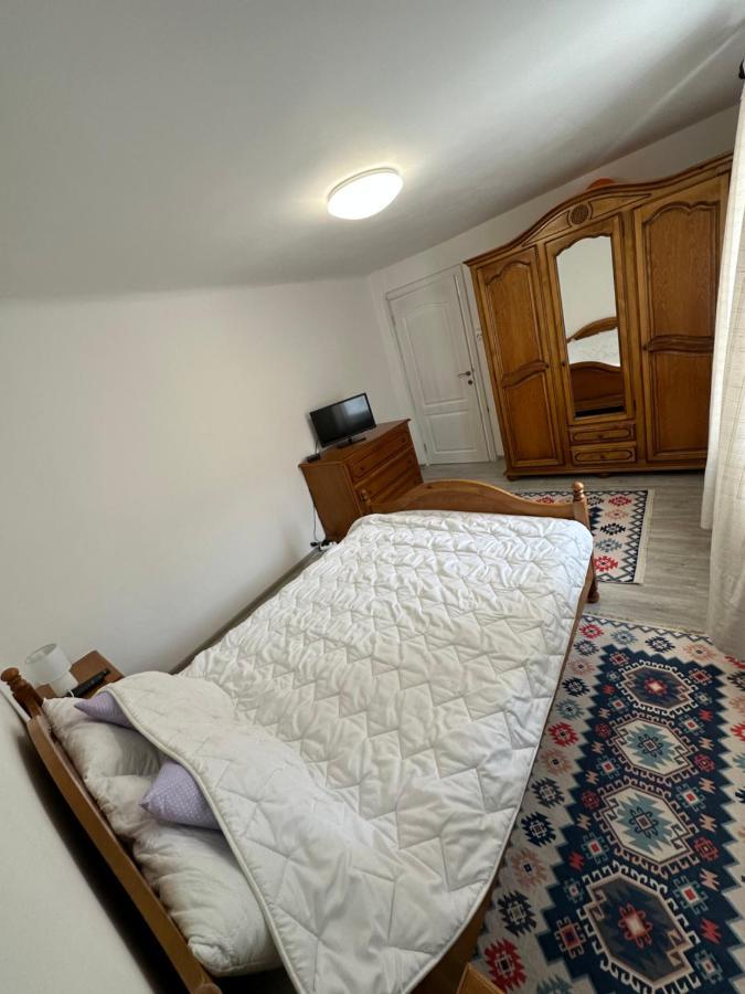 Nema S Apartment 布拉索夫 外观 照片